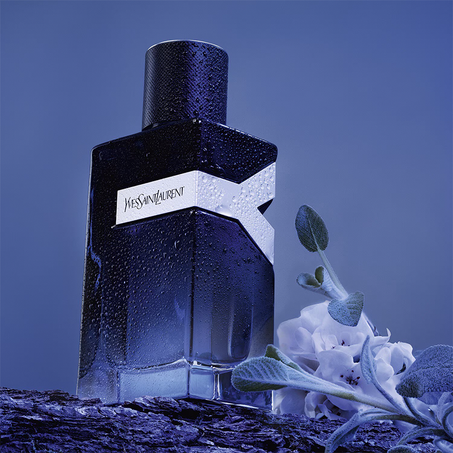 Y yves saint laurent
